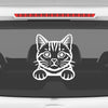Meowtor Power