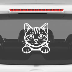Meowtor Power