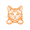 Meowtor Power