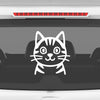 Paw Style Drive