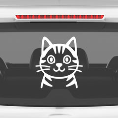 Paw Style Drive