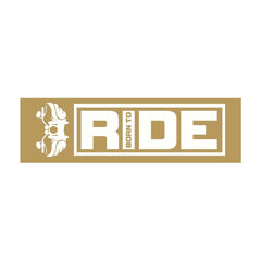 Born to Ride, Destined to Conquer Every Road bumper sticker