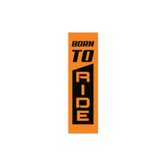 Born to Ride, Destined to Conquer Every Road bumper sticker