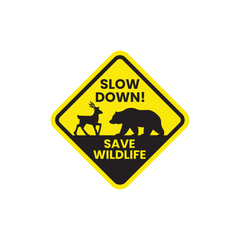 Zaqiz Save Wildlife – Protect Their Home, Protect Our Future