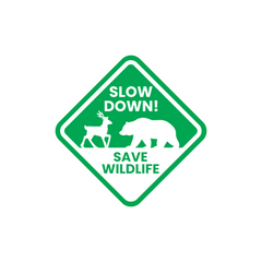 Zaqiz Save Wildlife – Protect Their Home, Protect Our Future