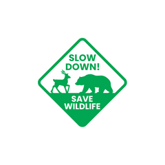 Zaqiz Save Wildlife – Protect Their Home, Protect Our Future