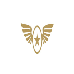 Zaqiz Stickers – Aviation Style Winged Star Emblems